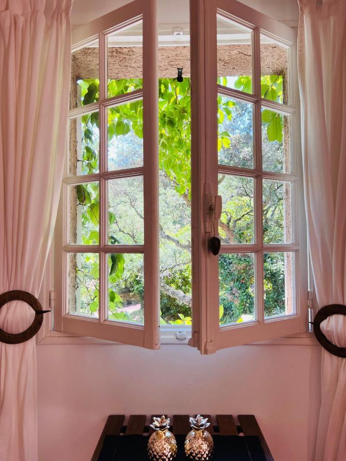 B&B Maison Gigi La Garde-Freinet Buitenkant foto